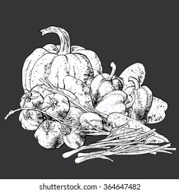 Isolated illustration set of vegetables. Vector, hand-drawn images.