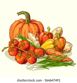 Isolated illustration set of vegetables. Vector, hand-drawn images.