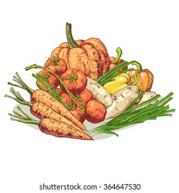 Isolated illustration set of vegetables. Vector, hand-drawn images.