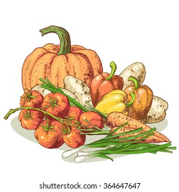 Isolated illustration set of vegetables. Vector, hand-drawn images.