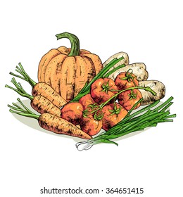 Isolated illustration set of vegetables. Vector, hand-drawn images.