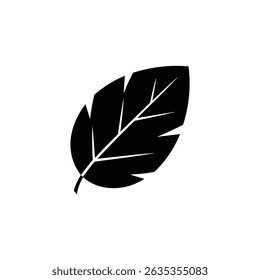 Isolated illustration of a simple leaf silhouette showing veins, providing a clean, minimalistic botanical design on a transparent backdrop. - Powered by Shutterstock - Get 15% off with code: PIKWIZARD15