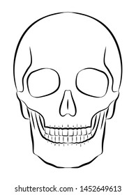 Isolated Illustration Skull Black White Vector Stock Vector (Royalty ...