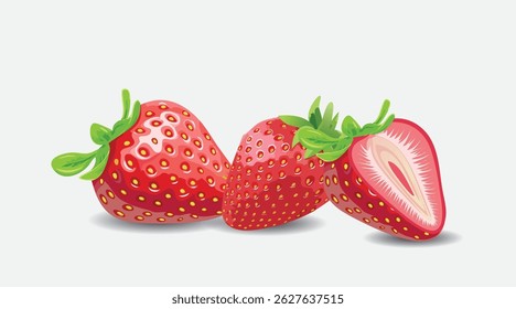 isolated illustration of Strawberry Fruit EPS Vector