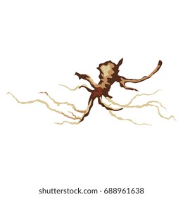 Isolated illustration of a stylized root of a wild plant. Colorful image on white background. Floral motif, part of a flower, element for design.