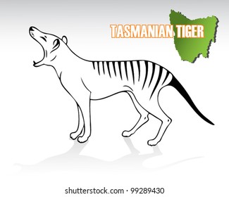 Isolated illustration of tasmanian tiger - vector