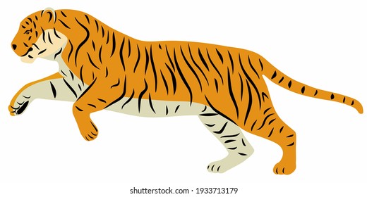 isolated illustration of a tiger, simple vector drawing on a white background