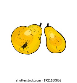 Isolated illustration of two pears on a white background. Fruit drawing, blank for designer, icon, banner, menu, vegetarians