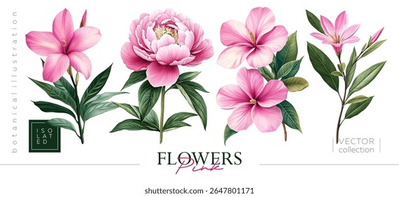 Ilustrações isoladas de belas flores cor-de-rosa são perfeitas para criar desenhos florais deslumbrantes. Ilustrações de desenho à mão no estilo de pintura vintage e ilustração botânica