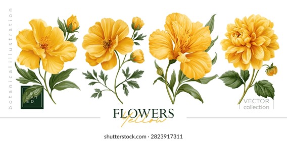 Isolated illustrations in the form of beautiful yellow flowers are perfect for creating stunning floral designs. Illustrations in the style of vintage painting and botanical illustration