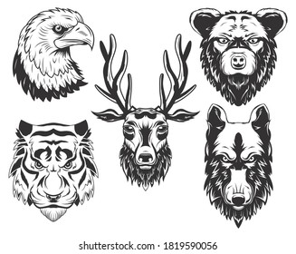 Isolated illustrations set of deer, tiger, wolf, bear and eagle.