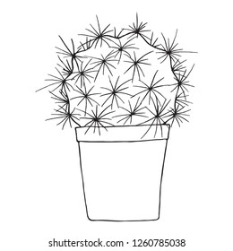 
isolated image of a cactus in a pot contour sketch home plants succulents. Element for your design.