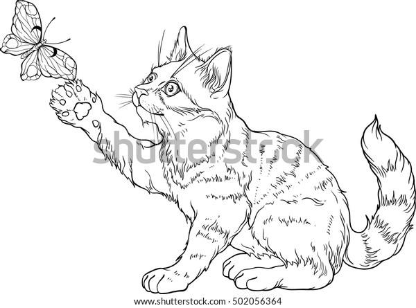 76 Top Coloring Page Cat And Butterfly Images & Pictures In HD