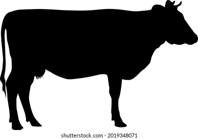 An isolated image of a cow. Creative graphic design for a butcher shop, farmer's market. Poster on the theme of animals. Black silhouette of a cow on a white background. A set of farm animals.