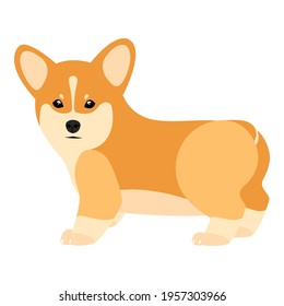 Isolated image of a cute corgi puppy for postcards, children's books, fabric printing