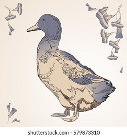 Isolated image of a Duck on a light background. Flowers. The elegant style of the cartoon. The object print advertising, poster, banner.
