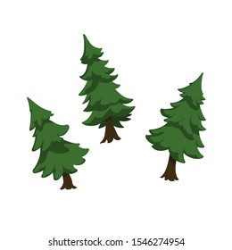 Isolated image of firs. Green pine in cartoon style. Forest tree on white background. Isometric view. Vector illustration