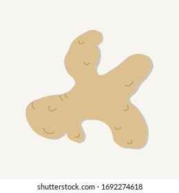 An isolated image of a ginger rhizome.Natural remedy for the season of colds, flu, epidemics. Designation,delivery,production of curry, candied fruit, ginger beer, ginger tea, ginger ale. Aromatherapy