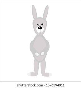 Isolated image of a hare on a white background