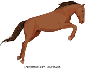 isolated image of jumping horse, a side look