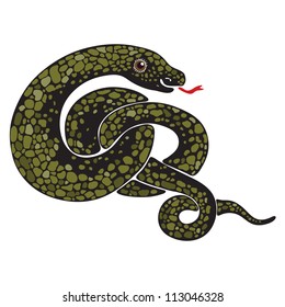 Isolated image of a large snake curled / Large snake