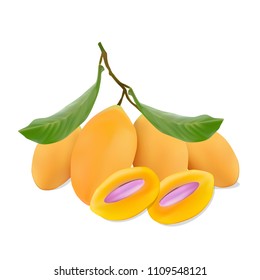isolated image of Marian Plum or Thai Plango with leave is Thai fruit