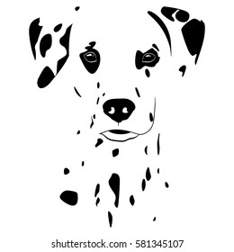 Isolated image of the muzzle Dalmatian dog. Stains on white background.