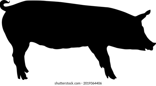 Ein Einzelbild eines Schweins. Kreatives Grafikdesign für einen Fleischerladen, Bauernmarkt. Poster zum Thema Tiere. Schwarze Silhouette eines Schweins auf weißem Hintergrund. Eine Reihe von Nutztieren.