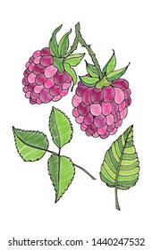 Isolated image of a raspberry, imitation of embroidery. embroidery on white background. For design and decor.
