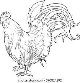 Black and White Cock Images, Stock Photos & Vectors | Shutterstock