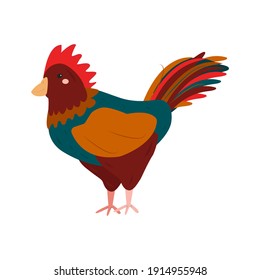 isolated image of a rooster. Cute illustration for children's educational aids, labyrinths, books. vector illustration, hand-drawn style