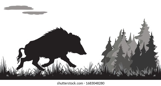 isolated image silhouette of a running wild boar