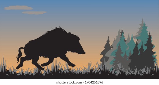isolated image of the silhouette of a running wild boar against the background of the evening sky