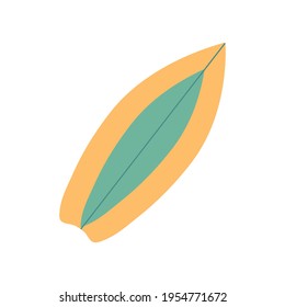 Isolated image of a surfboard on a white background