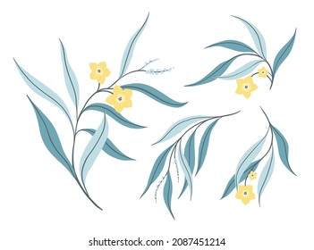 Isolated image of twigs with flowers and leaves. Parts of a plant on a white background. A set of various branches with small yellow flowers and blue foliage. Floral arrangement in cold colors. Vector