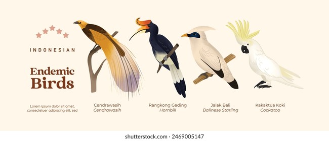 Isolated Indonesian endemic birds illustration cell shaded style