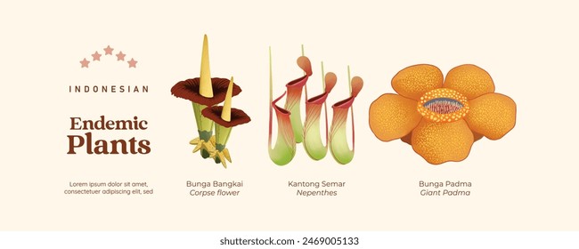 Isolated Indonesian endemic plants illustration cell shaded style