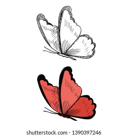 isolated insect butterfly flying red with a sketch