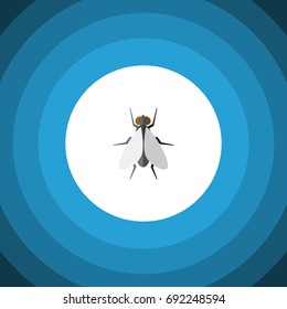 Isolated Insect Flat Icon. Hum Vector Element Can Be Used For Insect, Fly, Hum Design Concept.