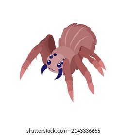 Isolated insect spider animated animals jungle vector illustration