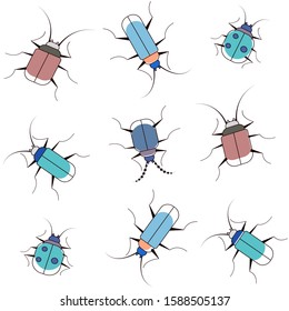 Isolated insects on white backgrounds. 