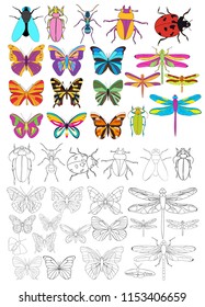 isolated, insects set, book coloring pages