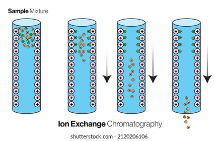 isolated Ion exchange chromatography mechanism in white background. 