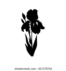 Download Iris Flower Pattern Vector High Res Stock Images Shutterstock