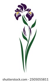 Isolated Iris Flower. Vector Illustration