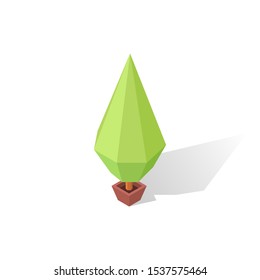 Isolated isometric polygonal coniferous tree on white background 5. Vector illustration.