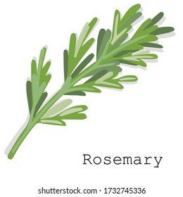 
Isolated items. Items and products that are in every kitchen. Ingredients for the dishes.