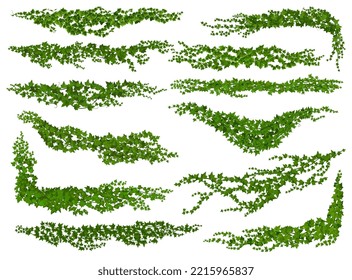 Isolated Ivy Lianas, Nature Divider Or Corner. Wall Climbing Liana Shrub Separators Or Dividers, Garden Creeper Plant Twig Vector Borders And Spacers, Vine Green Foliage Lines Set