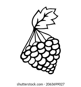 Isolated juicy berry on a white background in doodle technique for any kind of design. Vector illustration