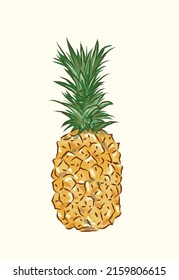 Isolated juicy yellow orange pineapple in vector illustration art design